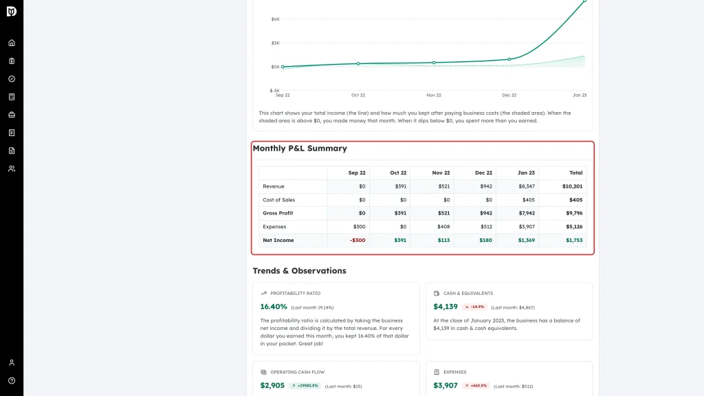 Monthly P&L Summary section highlighted in a finished report