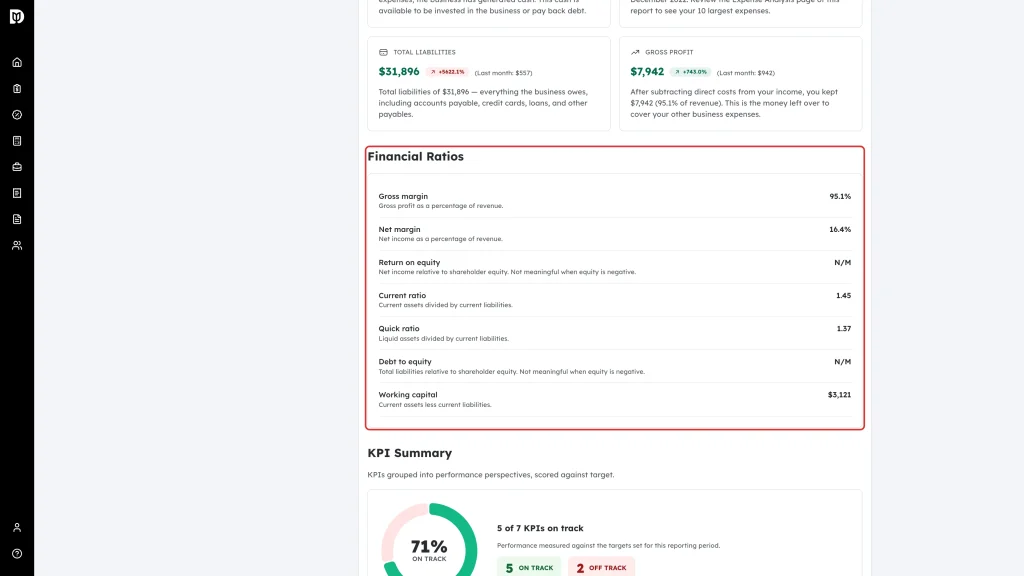 Financial Ratios section highlighted in a finished report