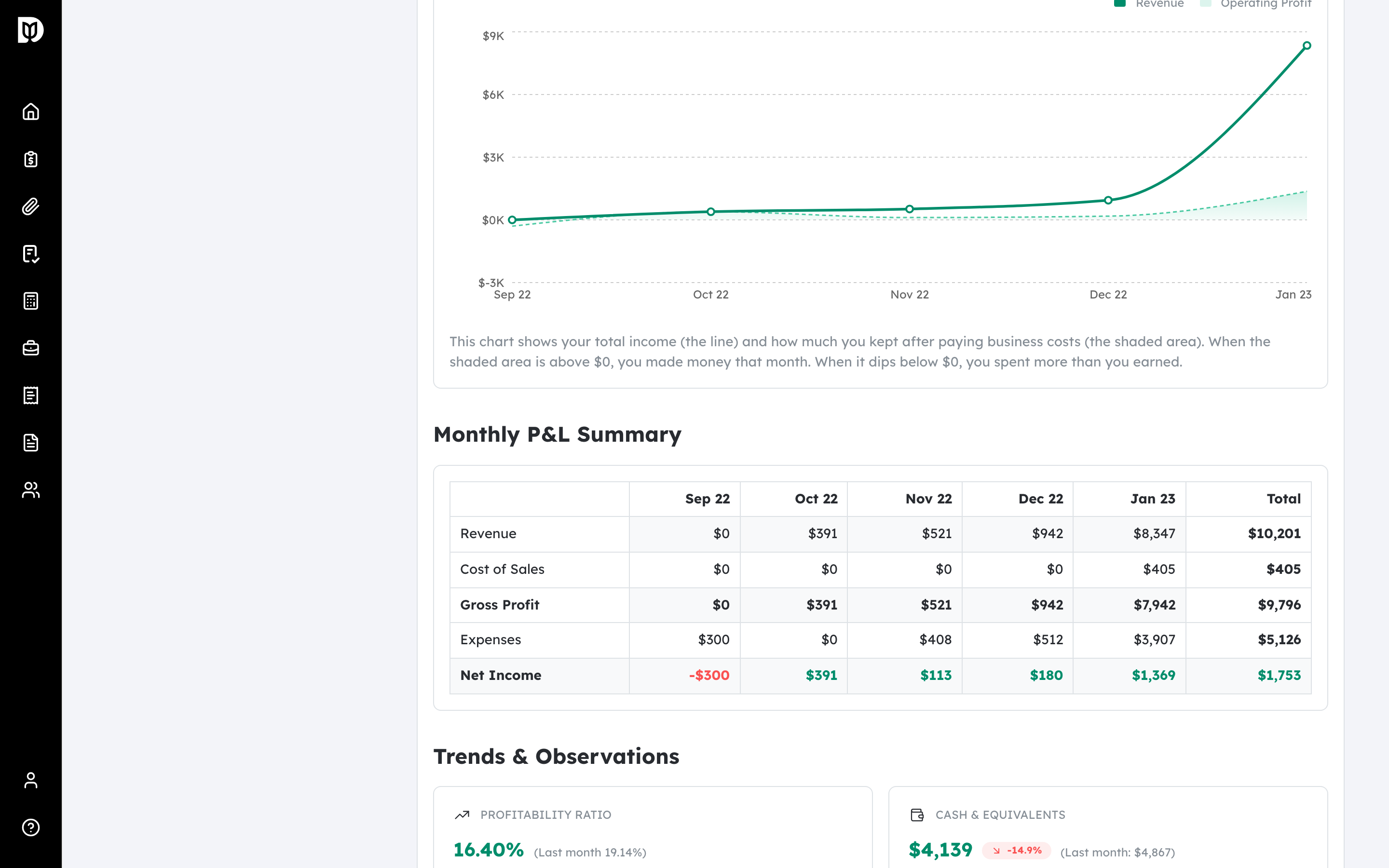 Example Monthly P&L Summary section